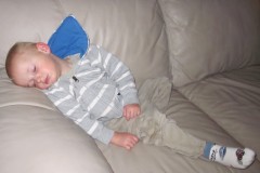 IMG_0016Anakin_sleeping_again