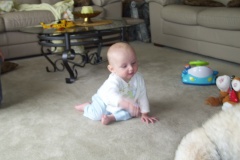 Picture_16