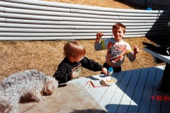 1_Photo16