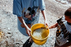 1_Photo21