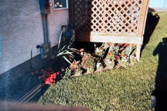 Photo093